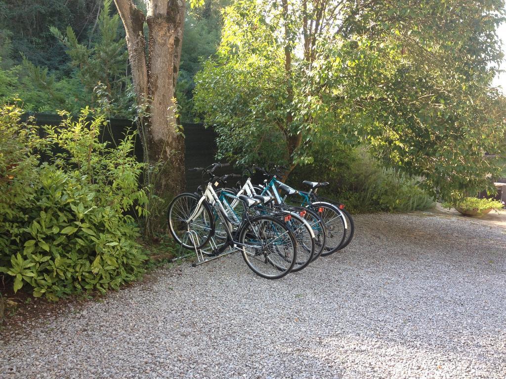 Agriturismo Il Paradiso Asciano Extérieur photo