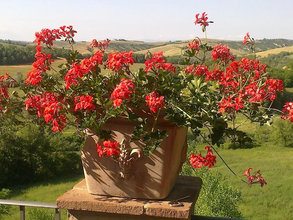 Agriturismo Il Paradiso Asciano Extérieur photo