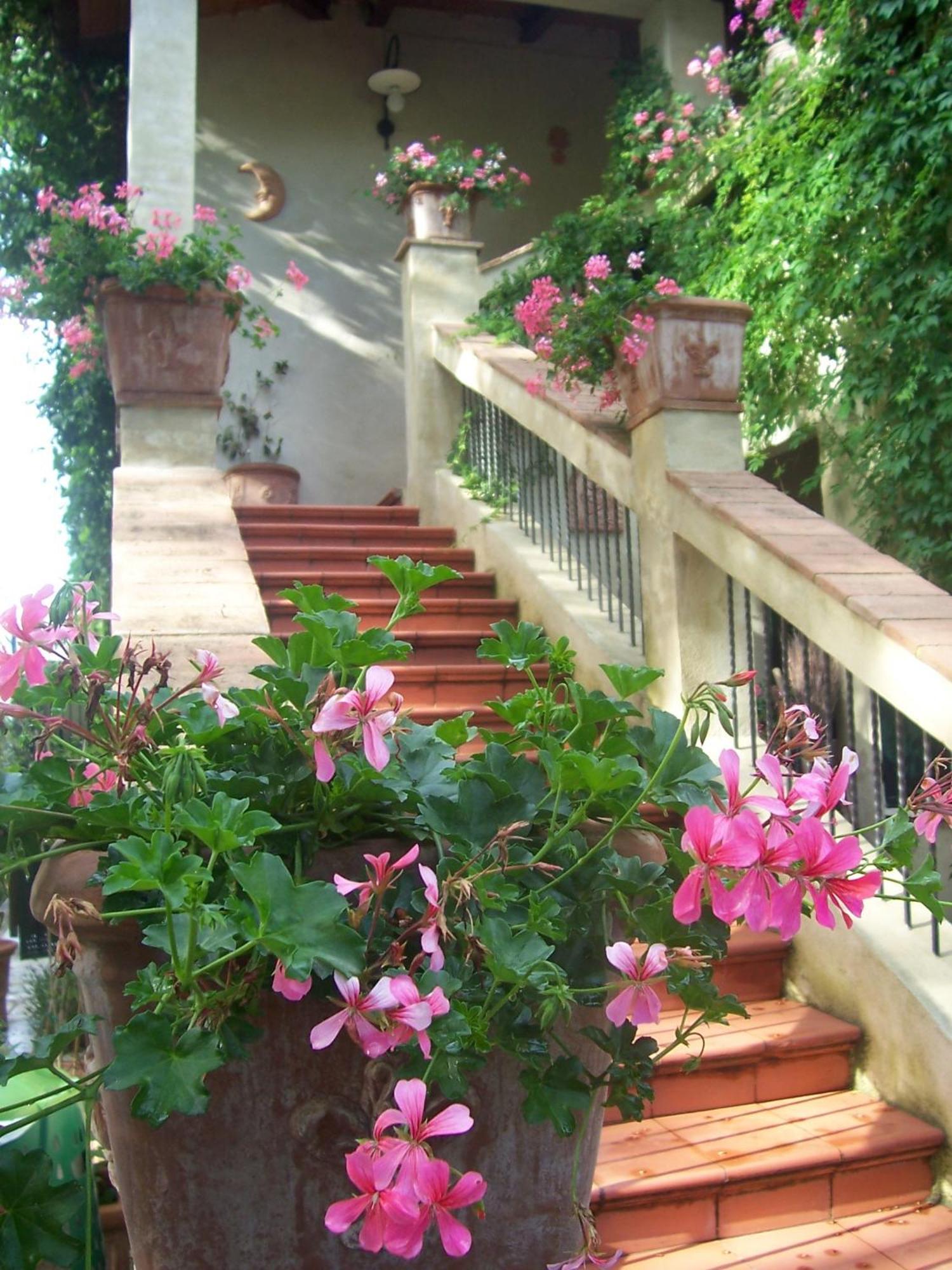 Agriturismo Il Paradiso Asciano Extérieur photo